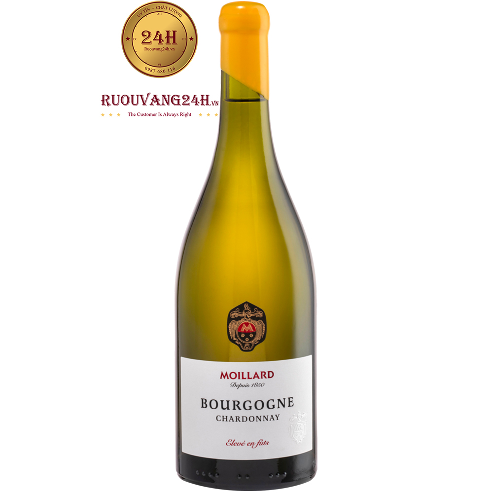 Rượu Vang Moillard Bourgogne Chardonnay Eleve En Futs