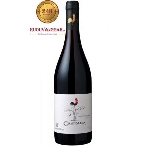 Rượu Vang Cantoalba Cabernet Sauvignon
