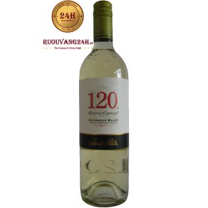 Rượu Vang Santa Rita 120 Reserva Especial Sauvignon Blanc