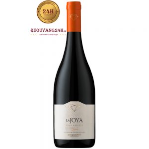 Rượu Vang Bisquertt La Joya Gran Reserva Shiraz