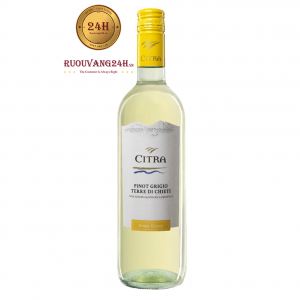 Rượu Vang Citra Pinot Grigio