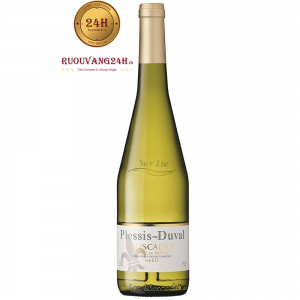 Rượu Vang Plessis – Duval Muscadet Sevre & Maine
