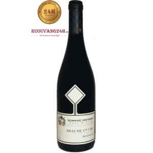 Rượu Vang Domaine Gavignet Beaune Premier Cru Les Belisand