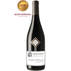 Rượu Vang Domaine Gavignet Chambolle Musigny Rouge