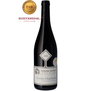 Rượu Vang Domaine Gavignet Gevrey-Chambertin