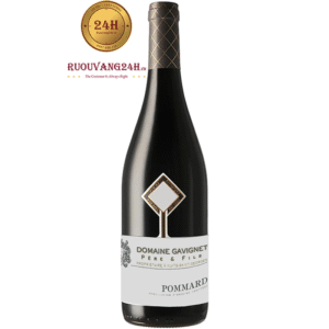 Rượu Vang Domaine Gavignet Pommard